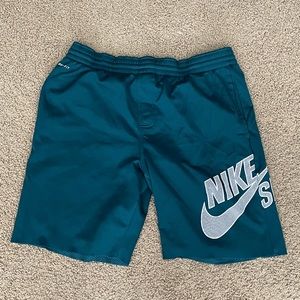 Nike SB Shorts - Large